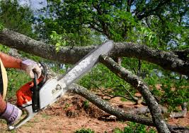 Soil Testing and Treatment in Crandon Lakes, NJ